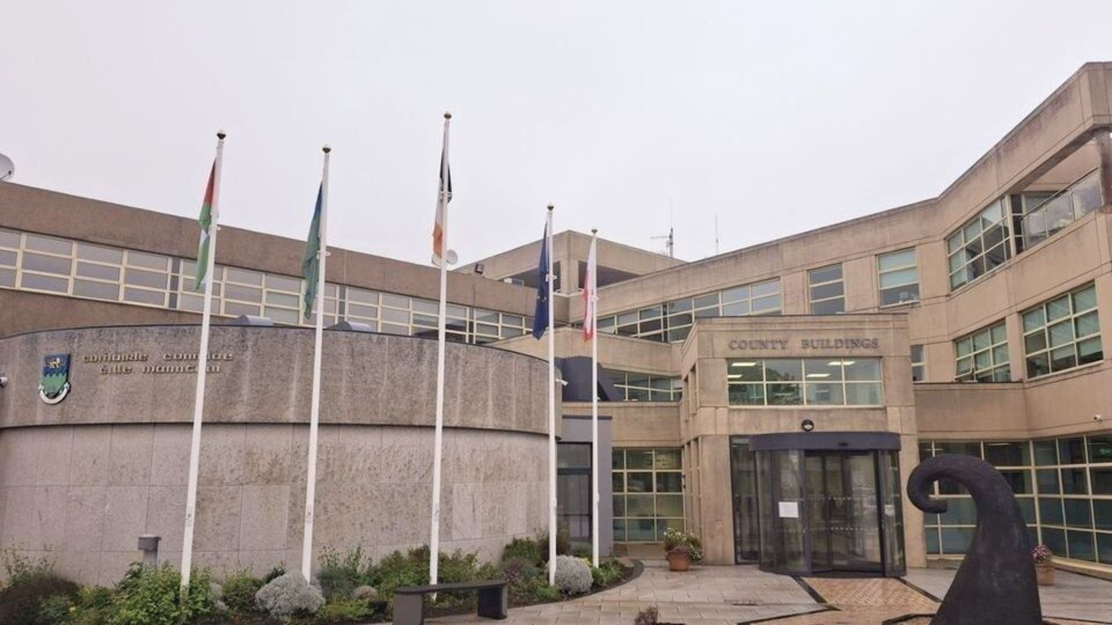 Wicklow Councillor's Business Ties to Council Job Revealed