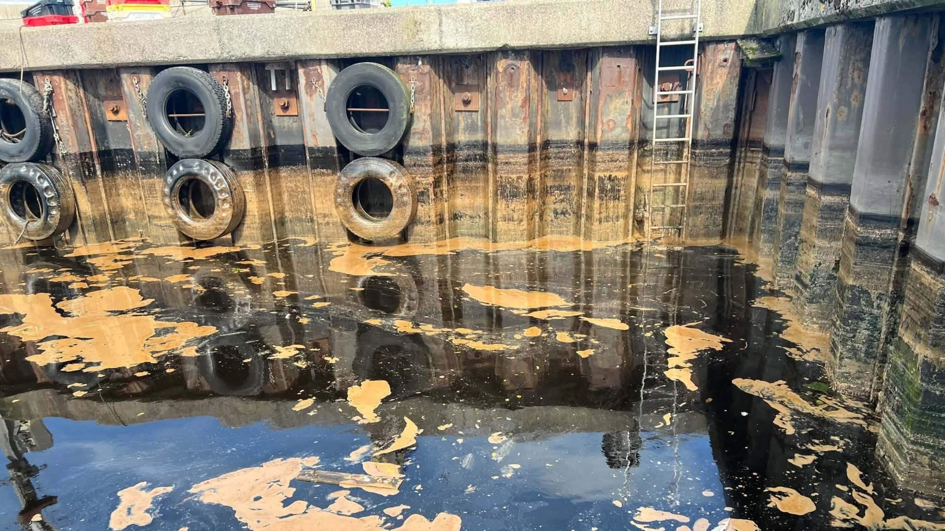 Wicklow Harbour Pollution Claims Challenged