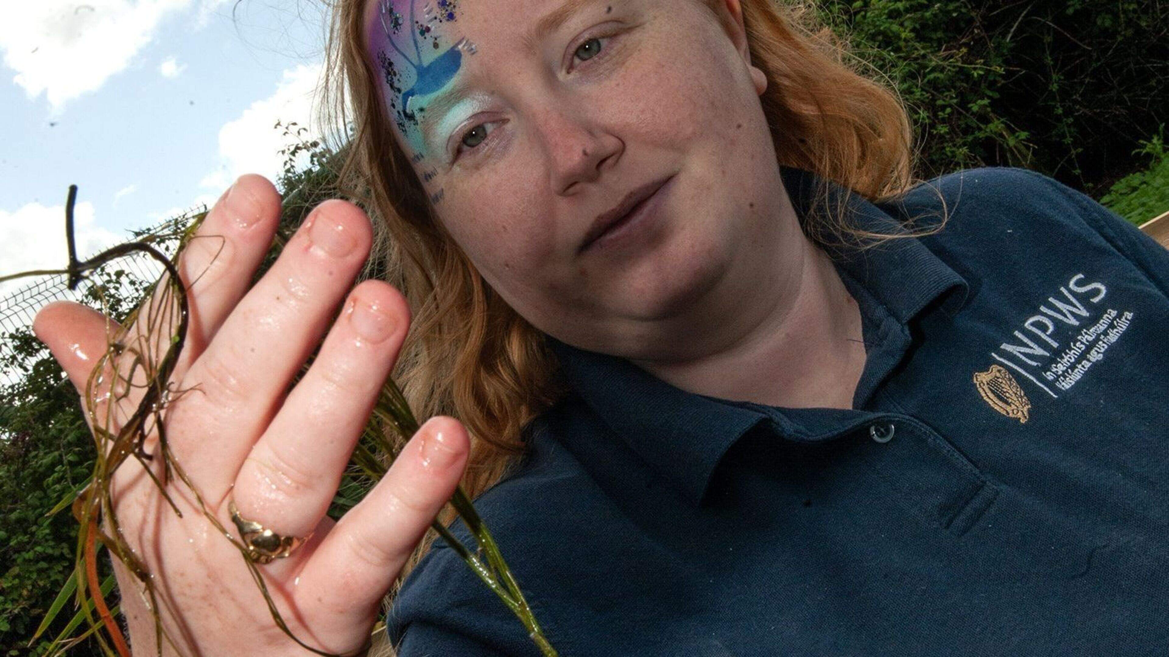 Third Annual Nature Festival in Wexford
