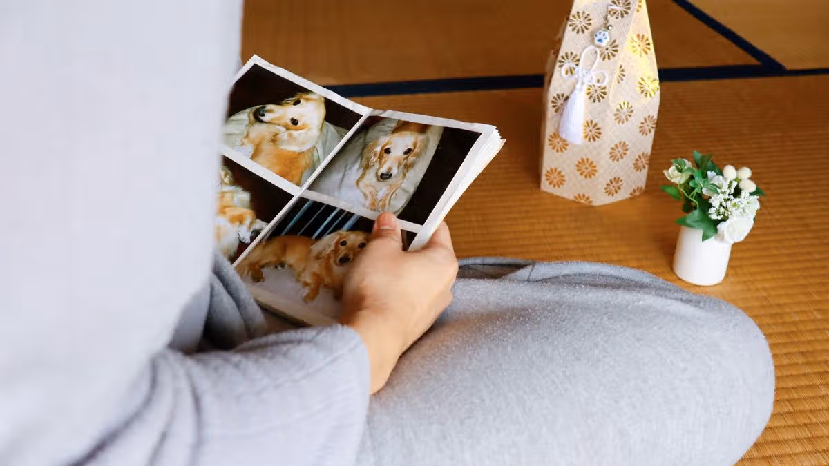 99% of Irish compare pet loss to family loss