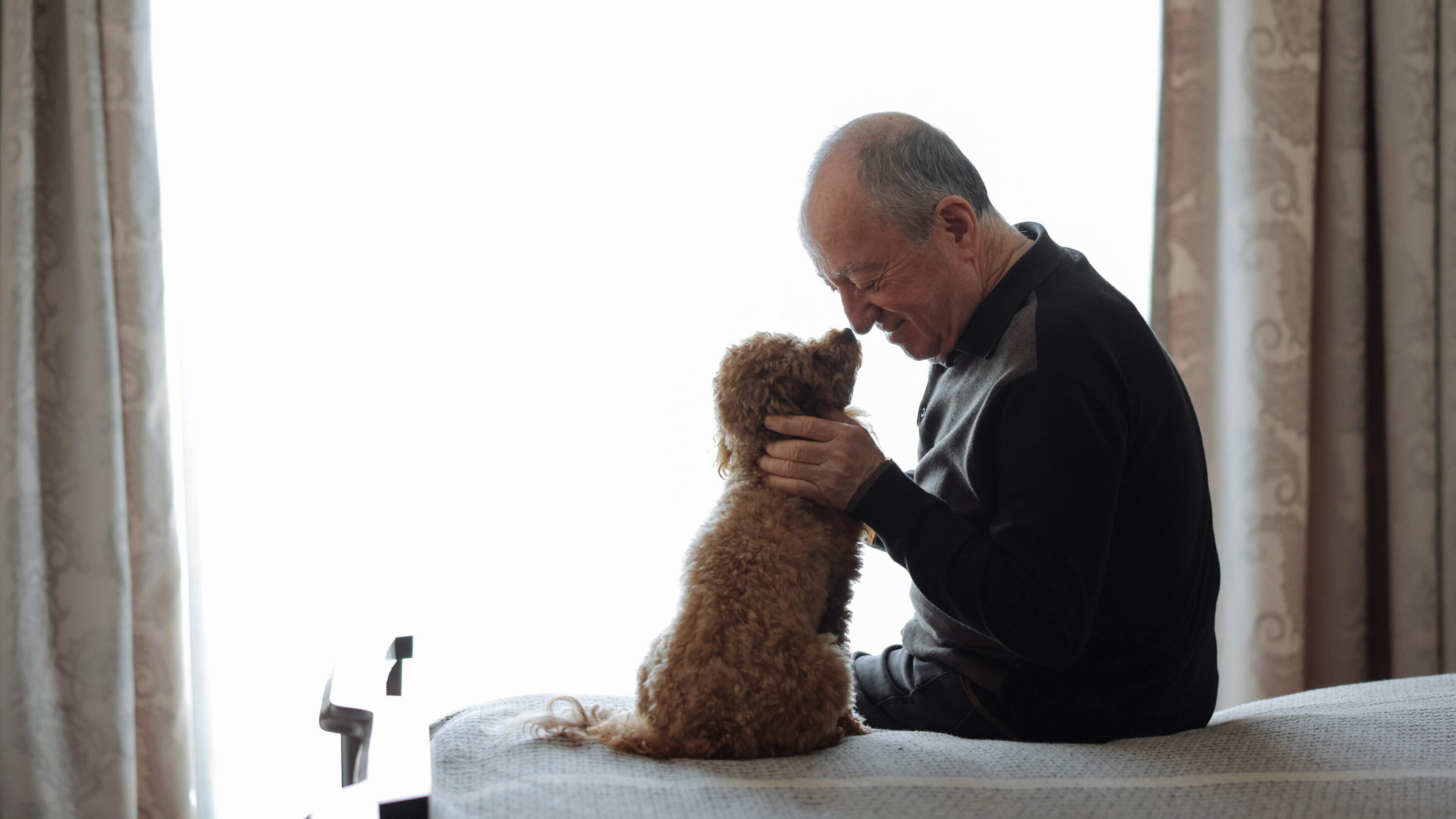 Grieving Pet Owners Compare Loss to Family Member