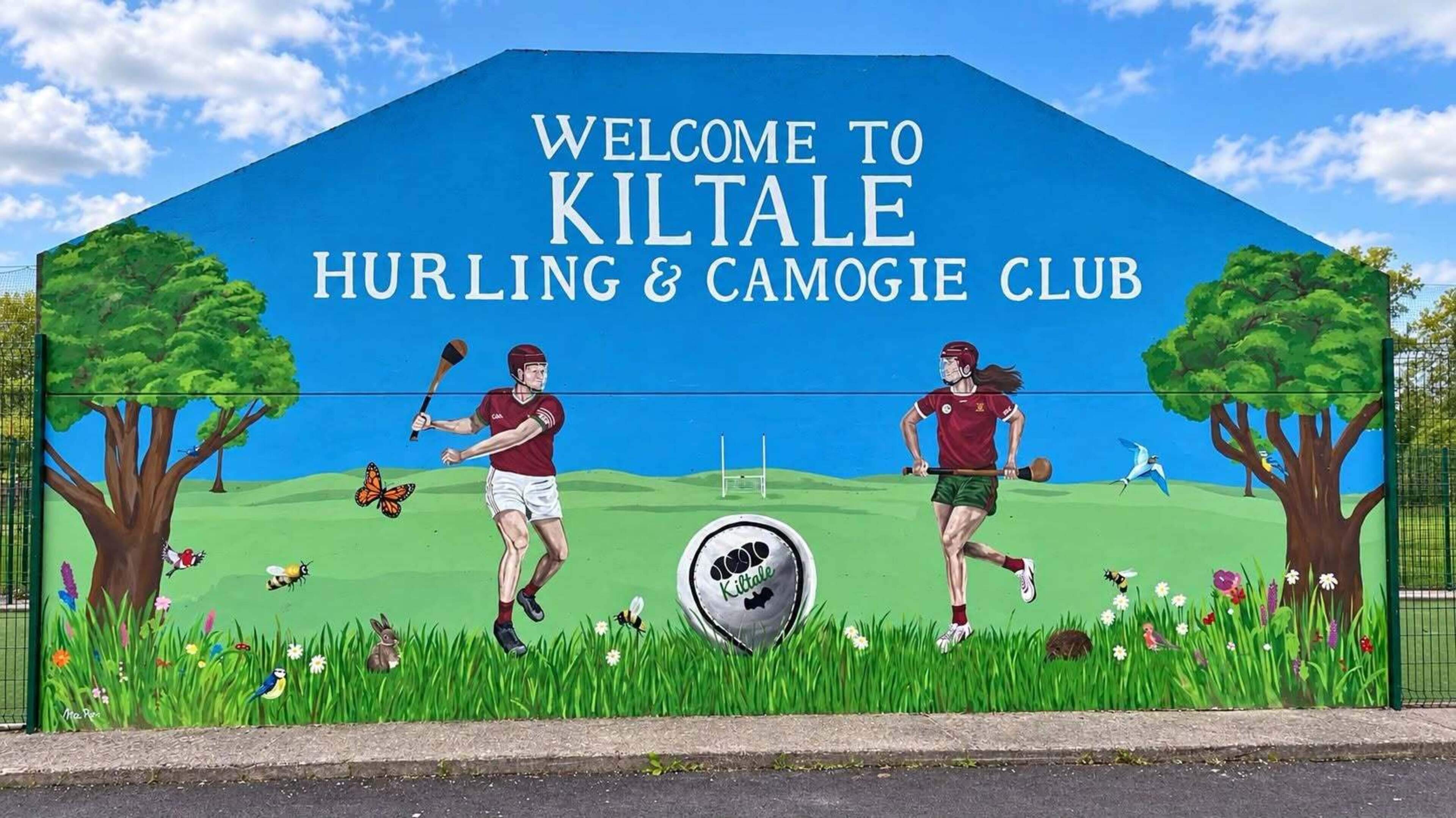 Hurling Wall Transforms Community at Meath GAA Club