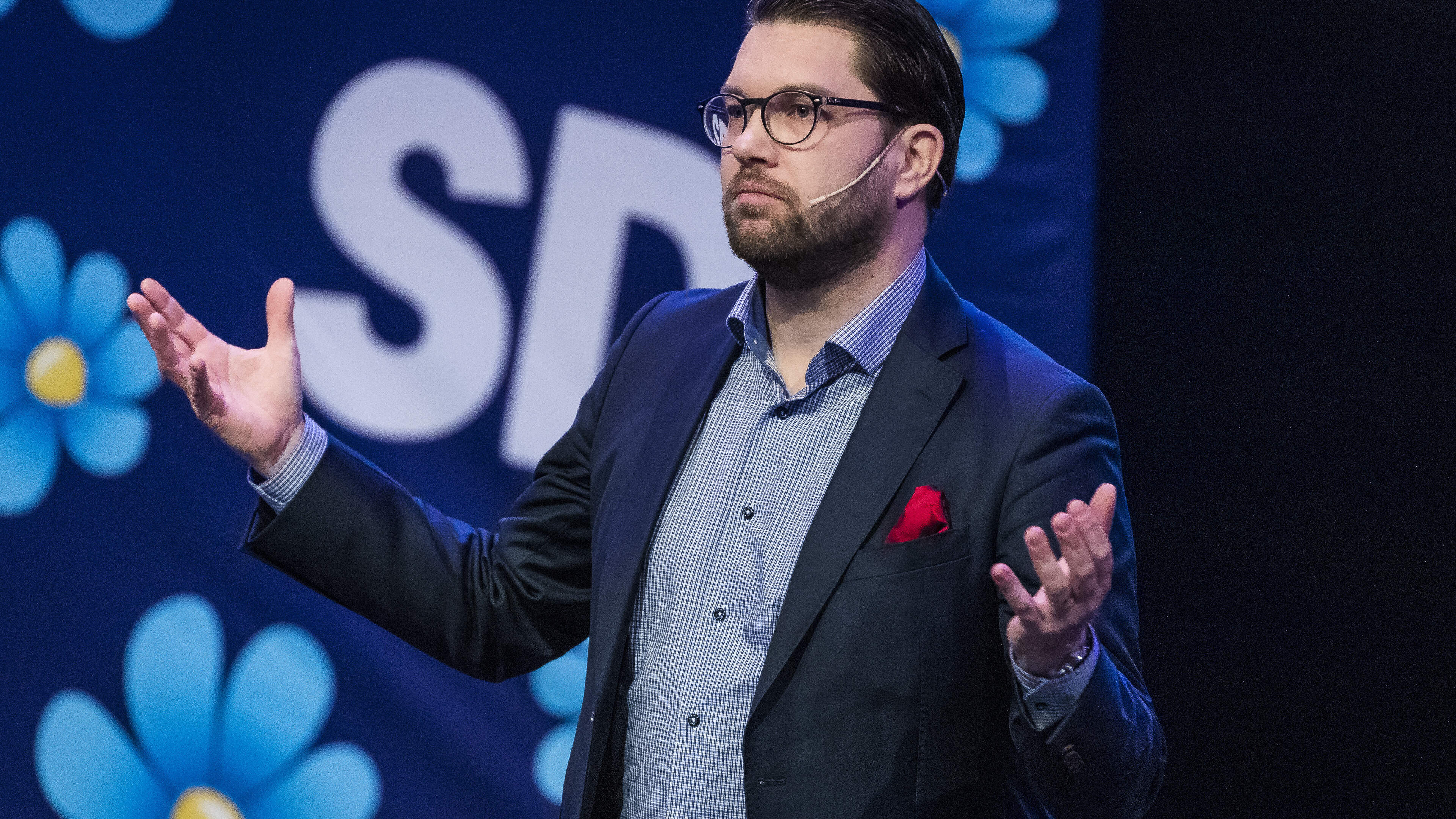 Sweden Democrats Face Election Setback