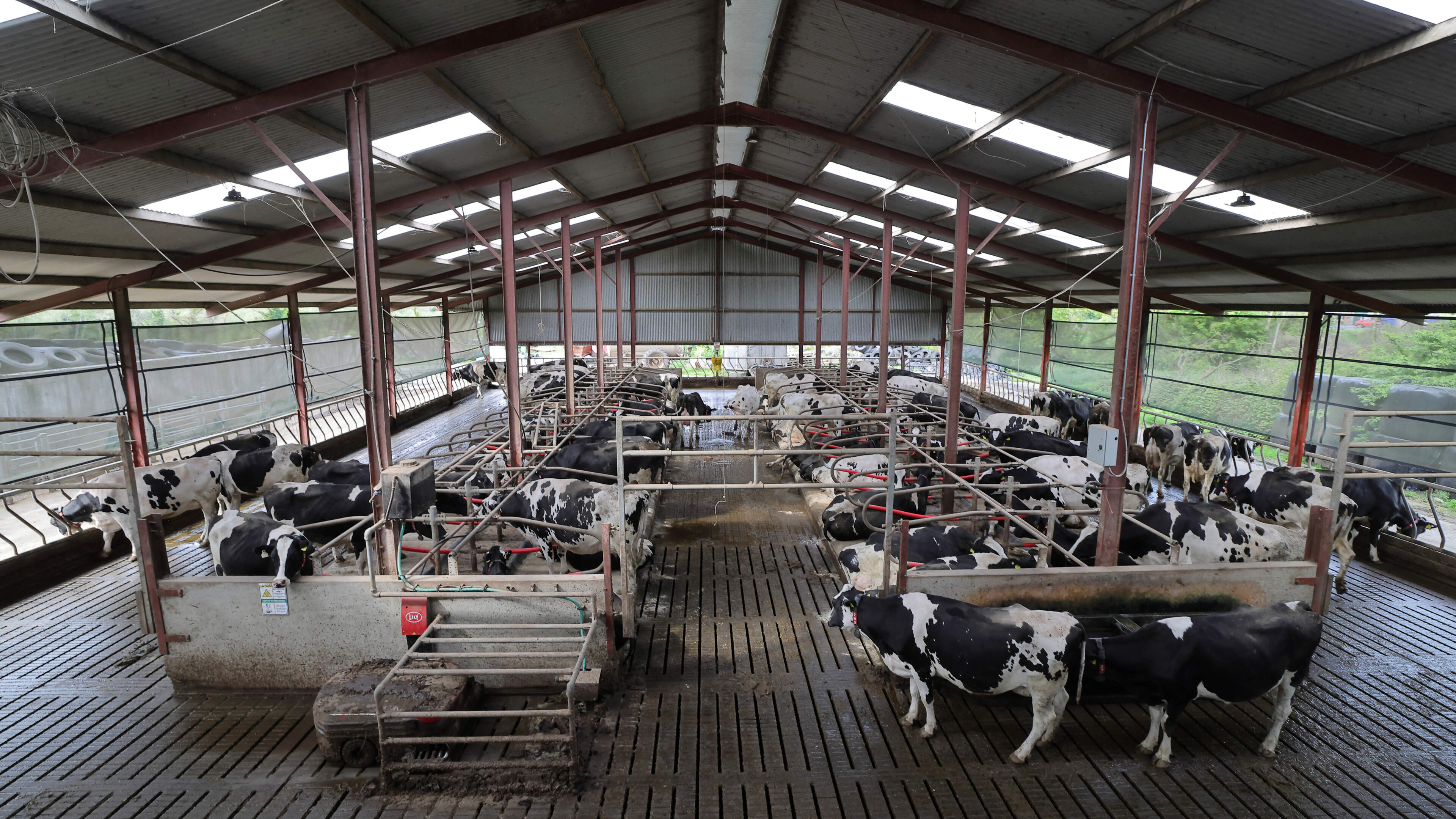 Half of Dairy Farmers Lack Successors