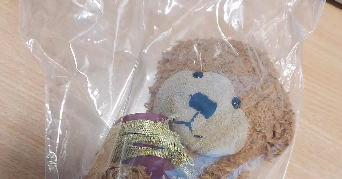 Pet owner to reunite with dog ashes urn