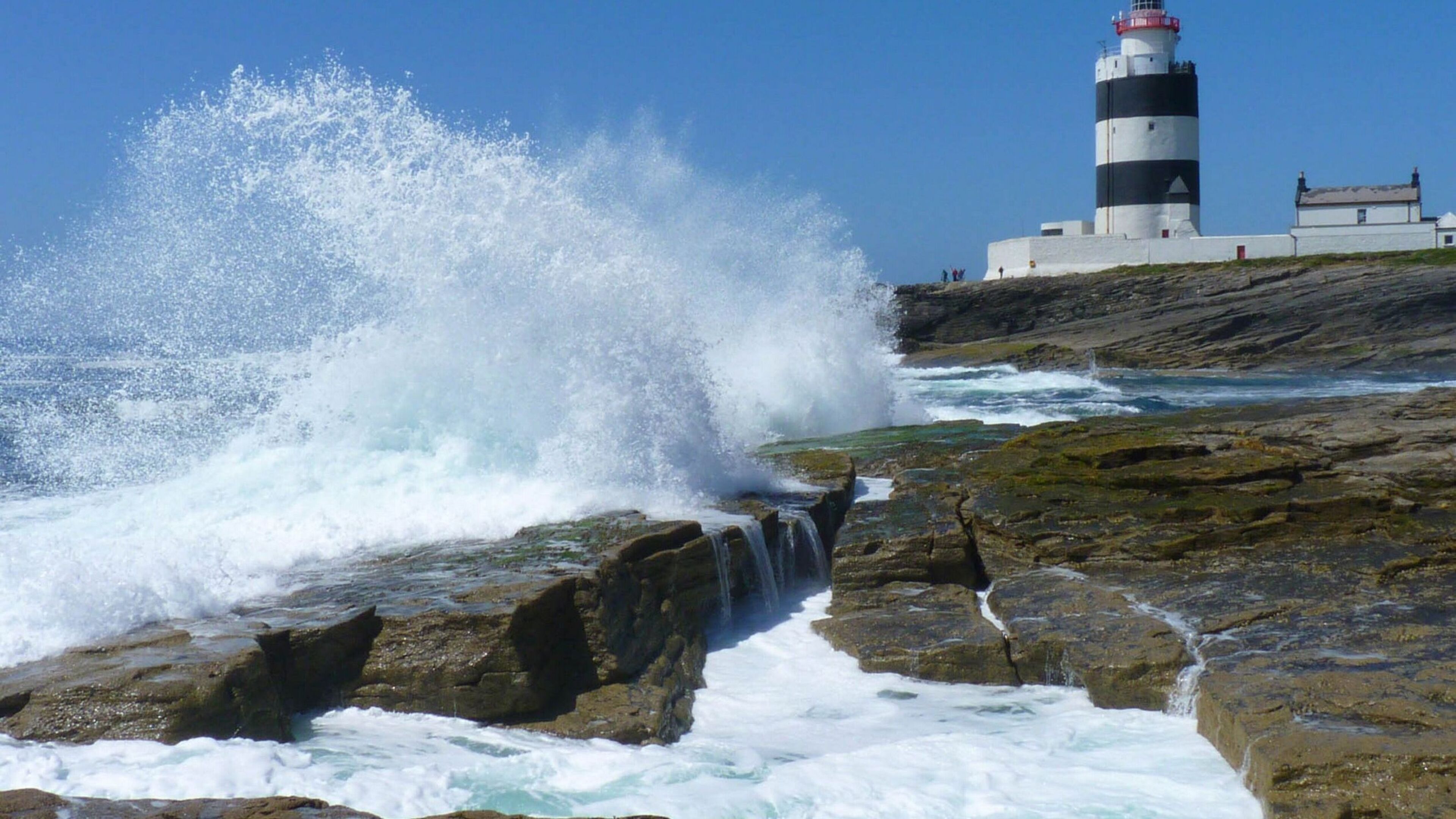 Ecological Study Clears Hook Lighthouse Expansion
