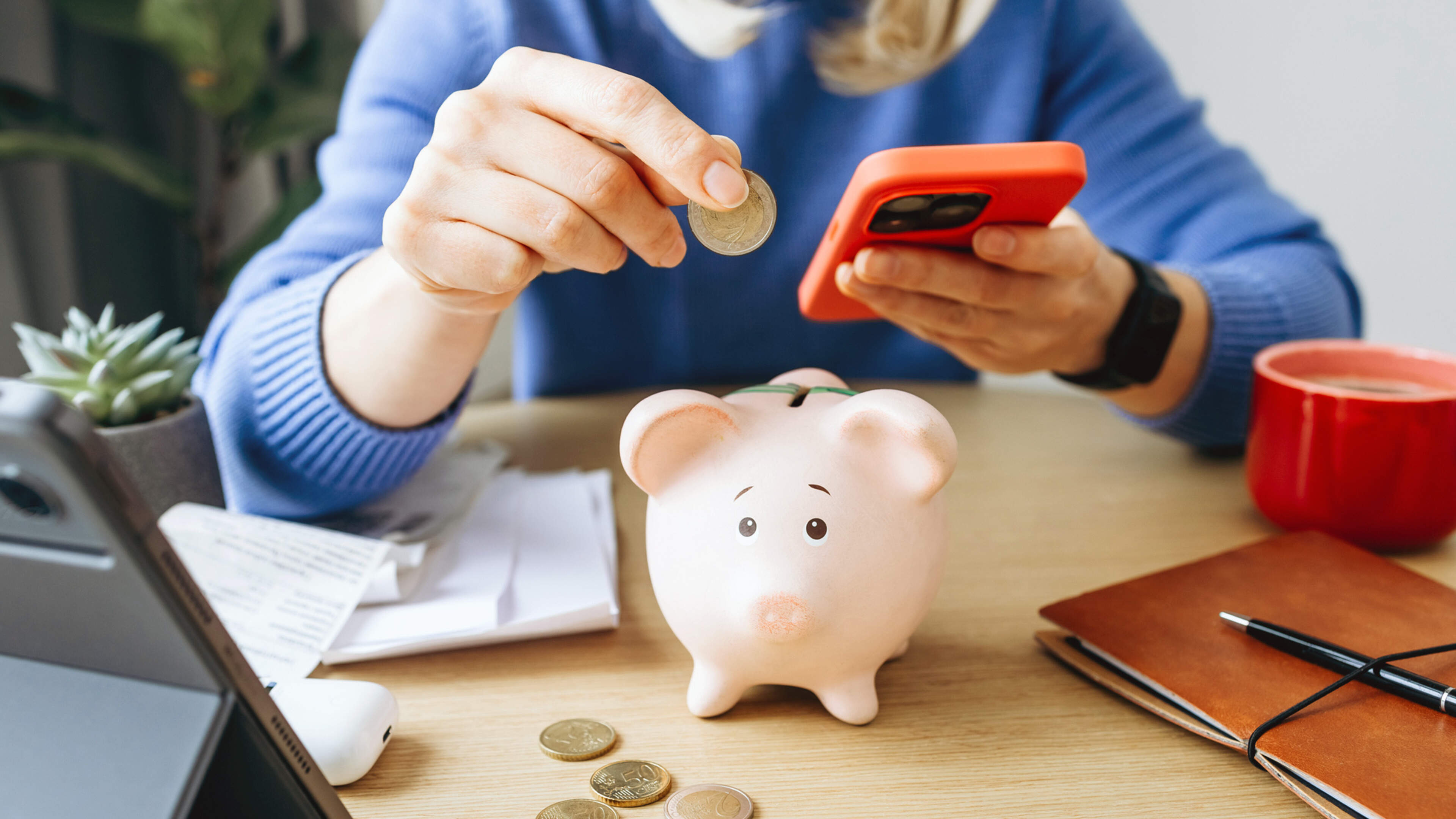 Ireland Leads Euro-Area in Household Savings