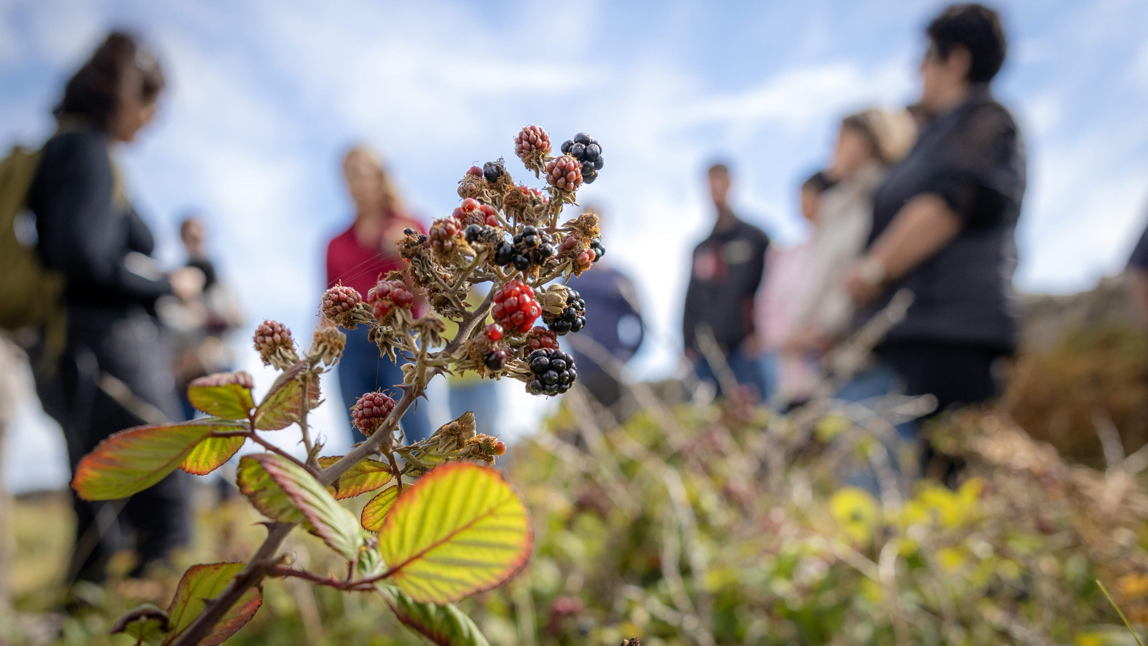 Féile na bPuiteachaí Returns to Inis Meáin