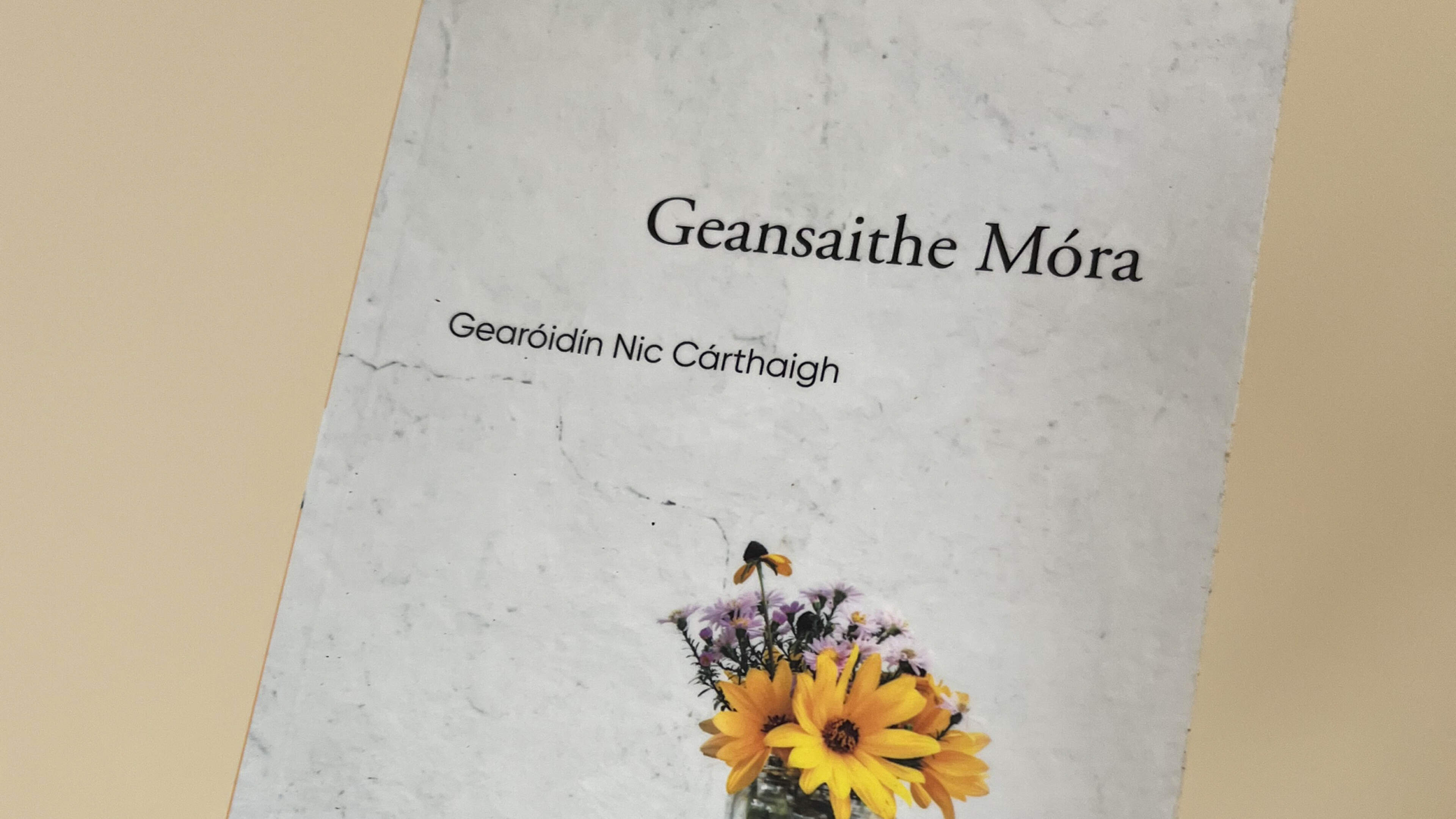 Aedín Ní Thiarnaigh recommends autumn reading
