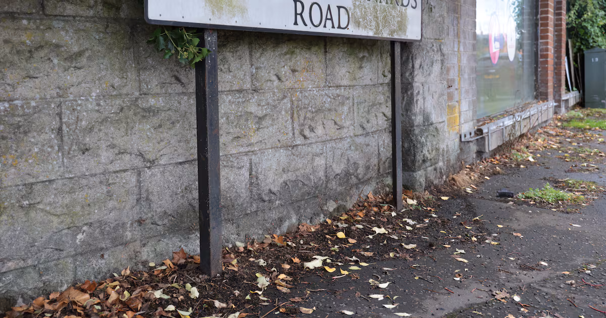 East Belfast Residents Surveyed on Irish Signs