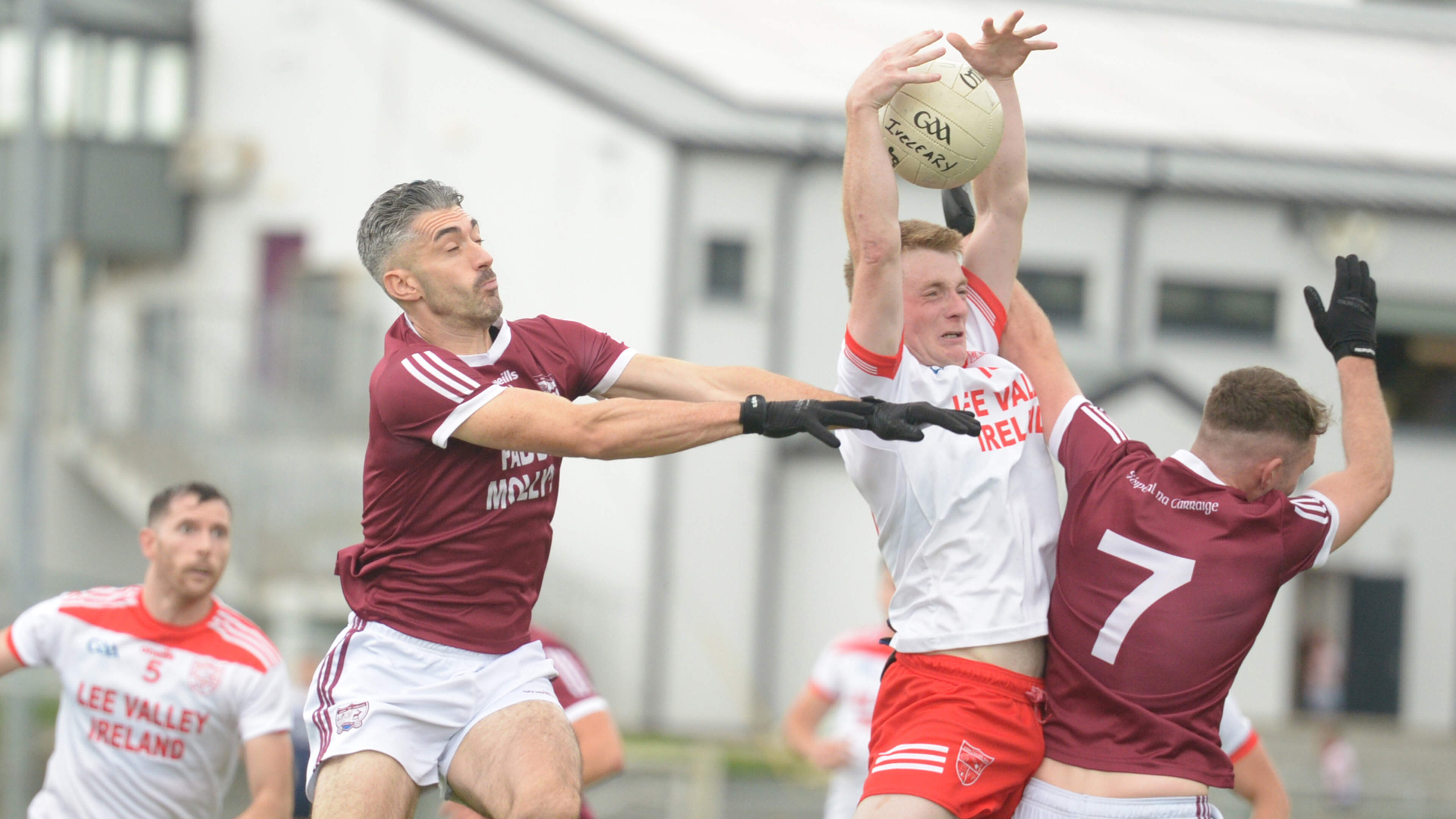 Uibh Laoire Wins Against Rockchapel