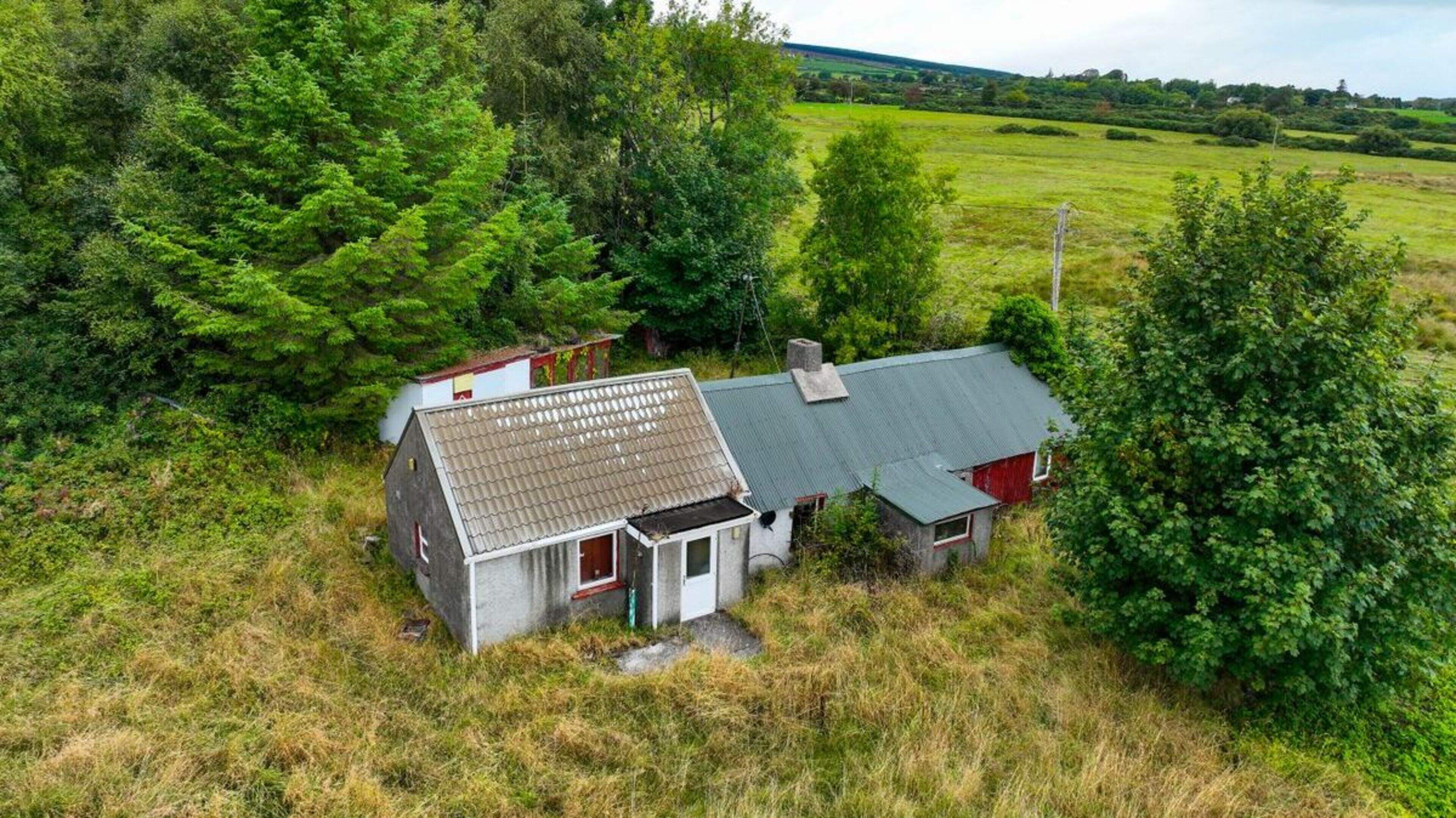Derelict Wicklow Bungalow Auctioned for €100,000