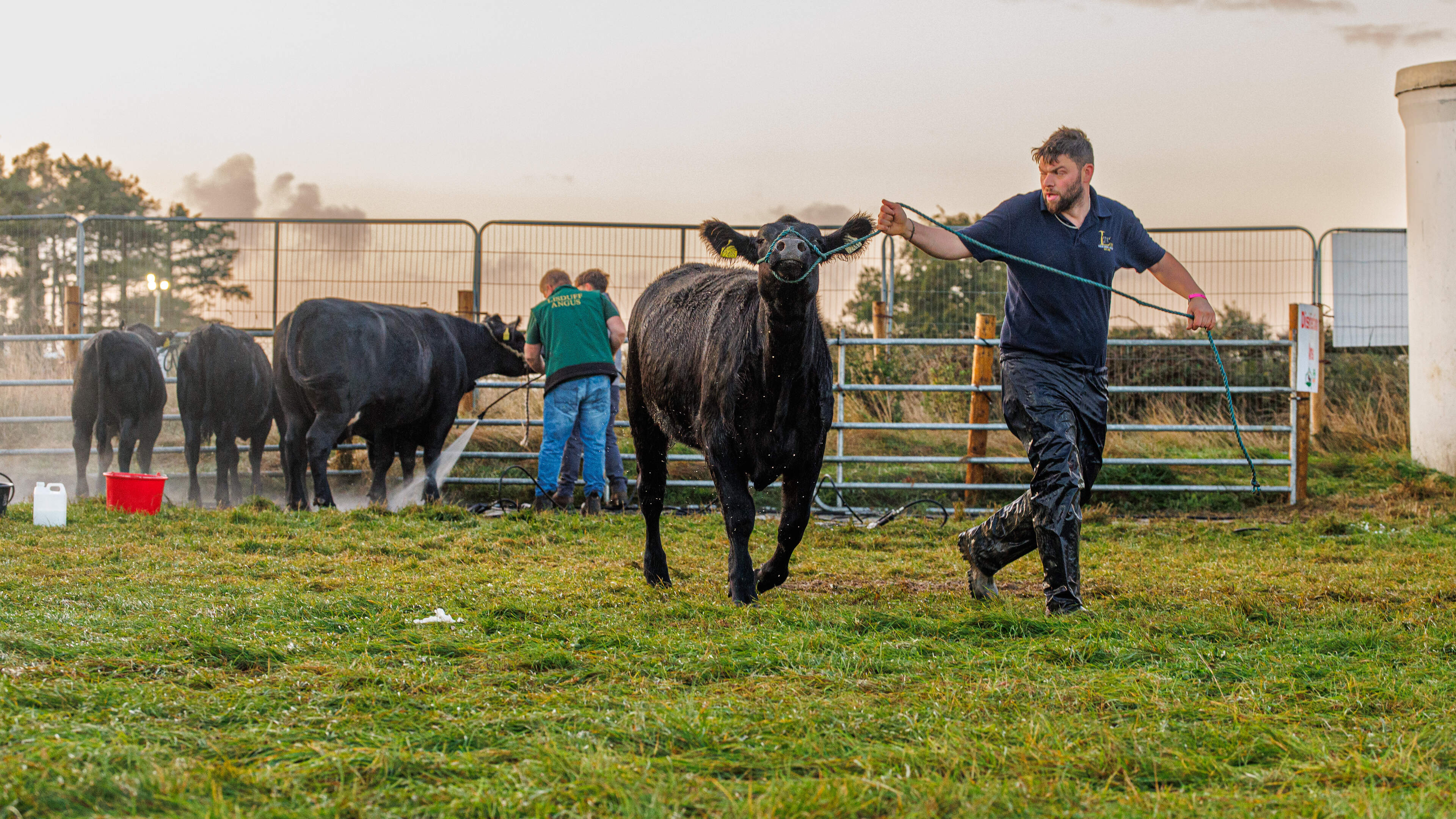 Farmers Discuss High Fuel Costs at Ploughing