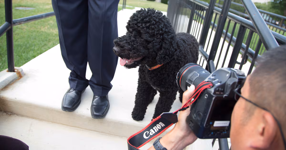 Obama mourns death of family dog Sunny