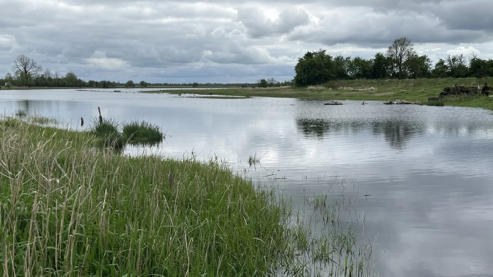 Nitrate Pollution Rises in Ireland's Major Rivers