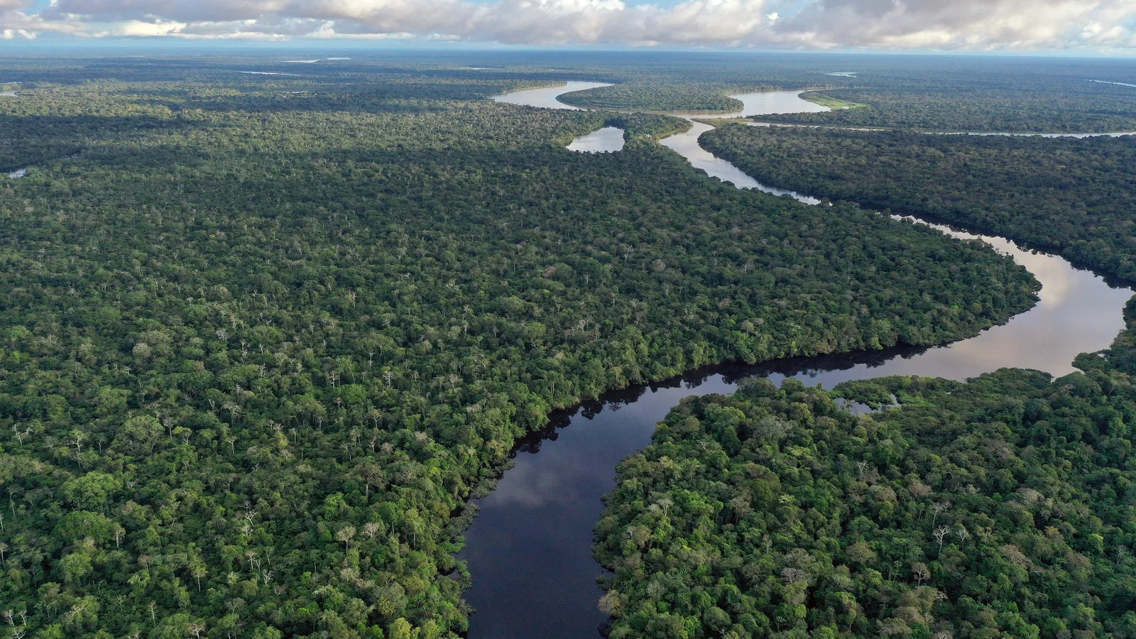 World rivers face driest year in decades