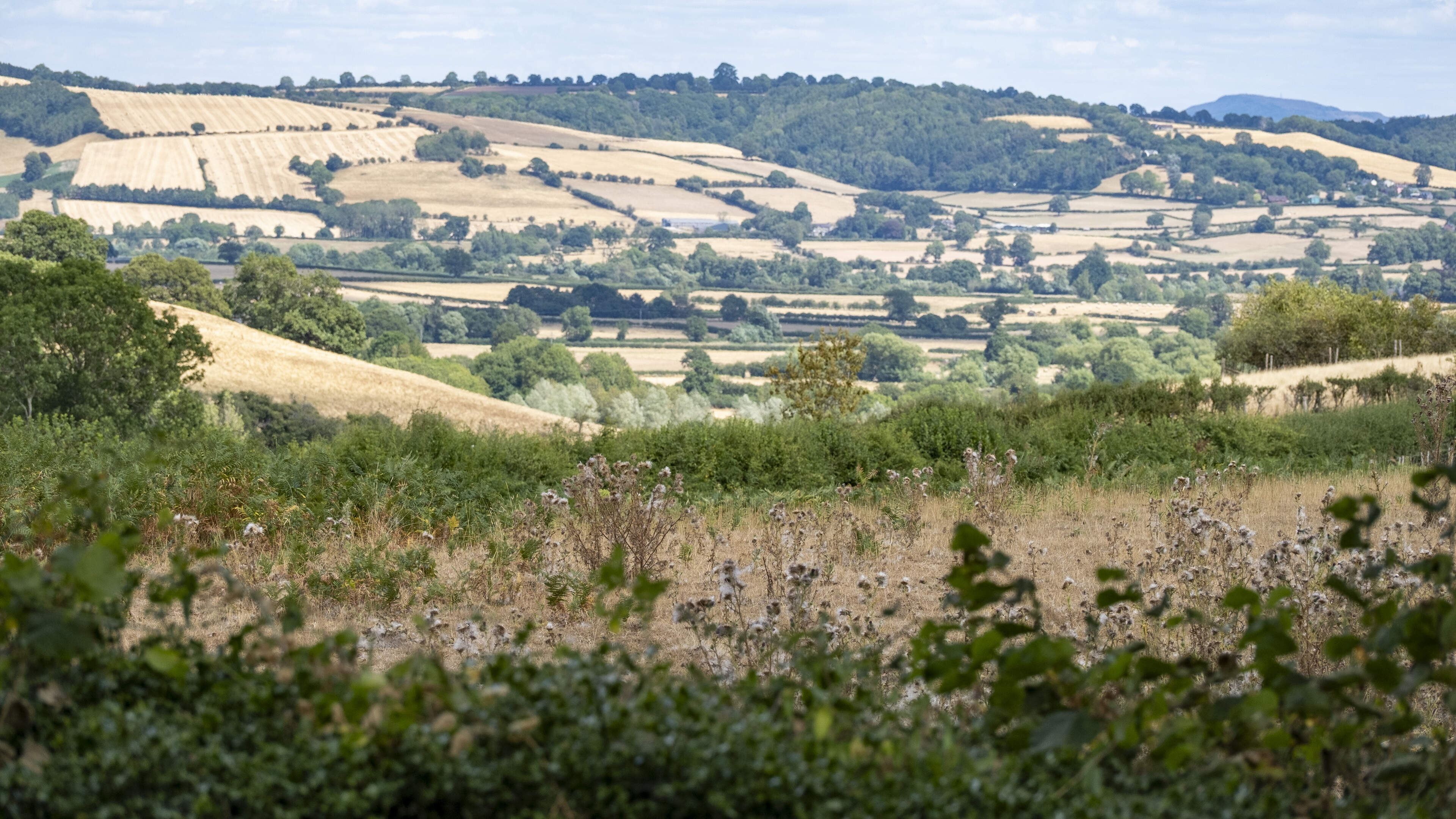 UK Drought Situation Remains Critical Despite Rain