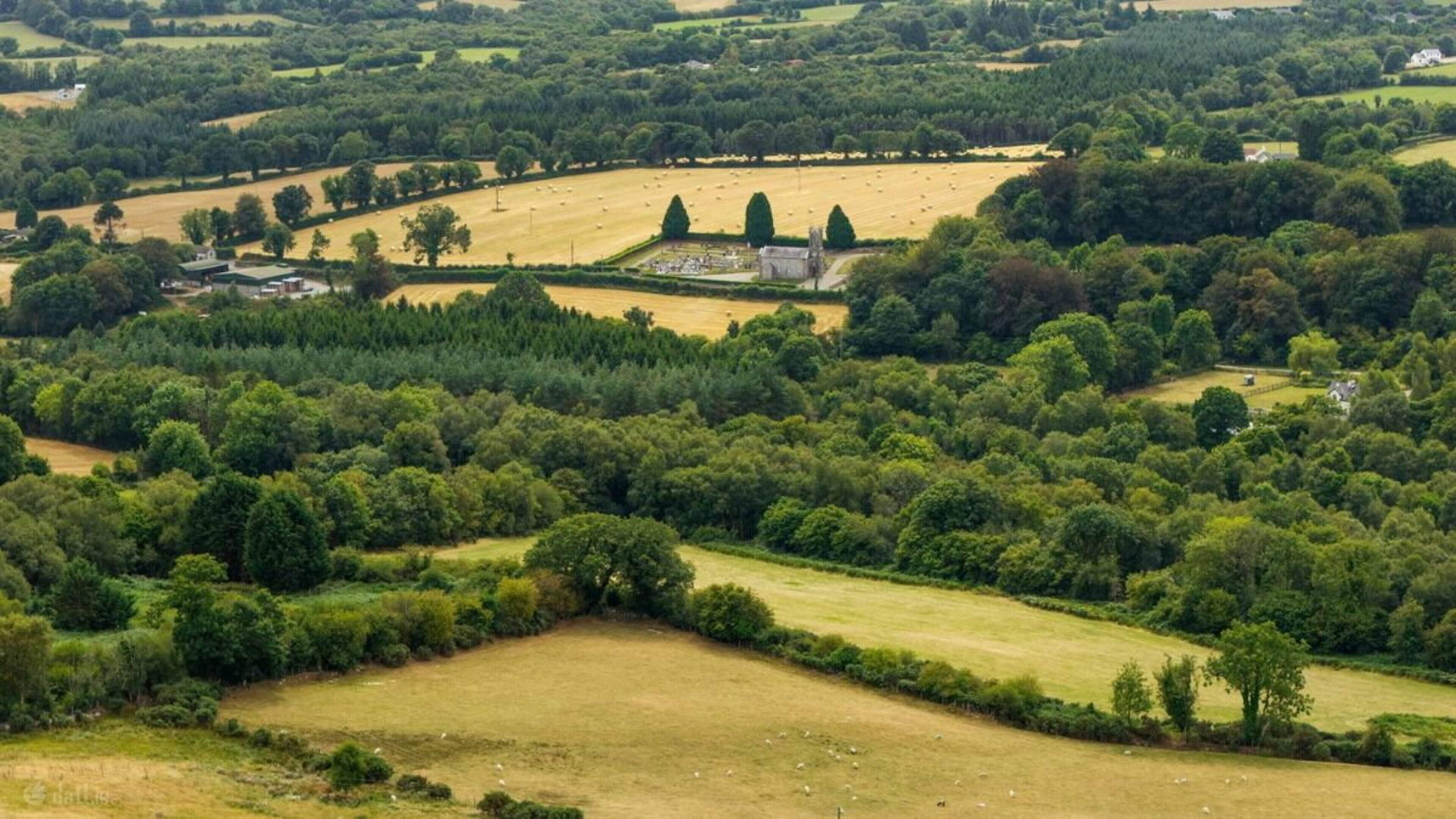 Wicklow Farmland Sites Listed for Sale