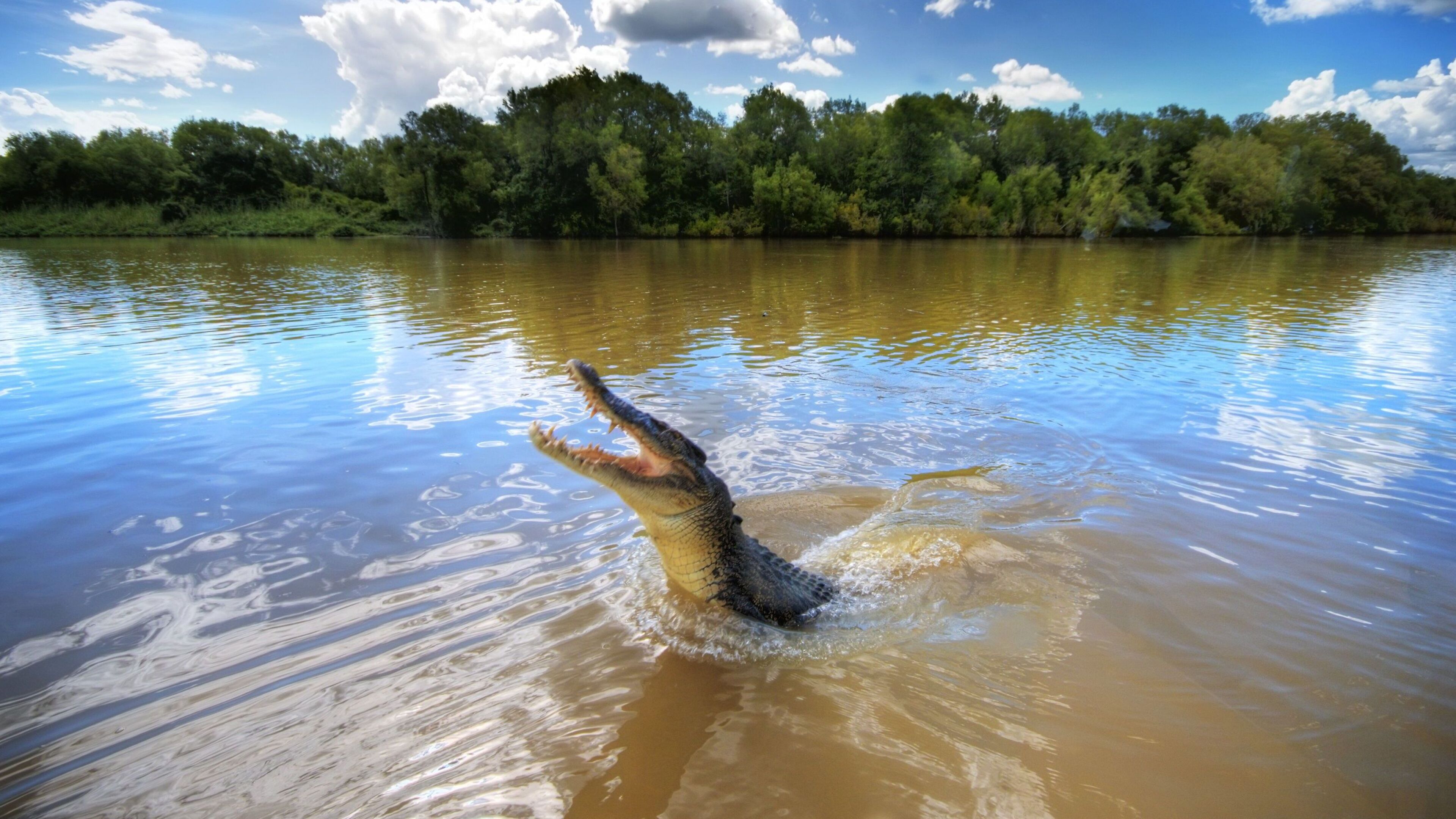 Crocodile-infested river chosen for Olympics