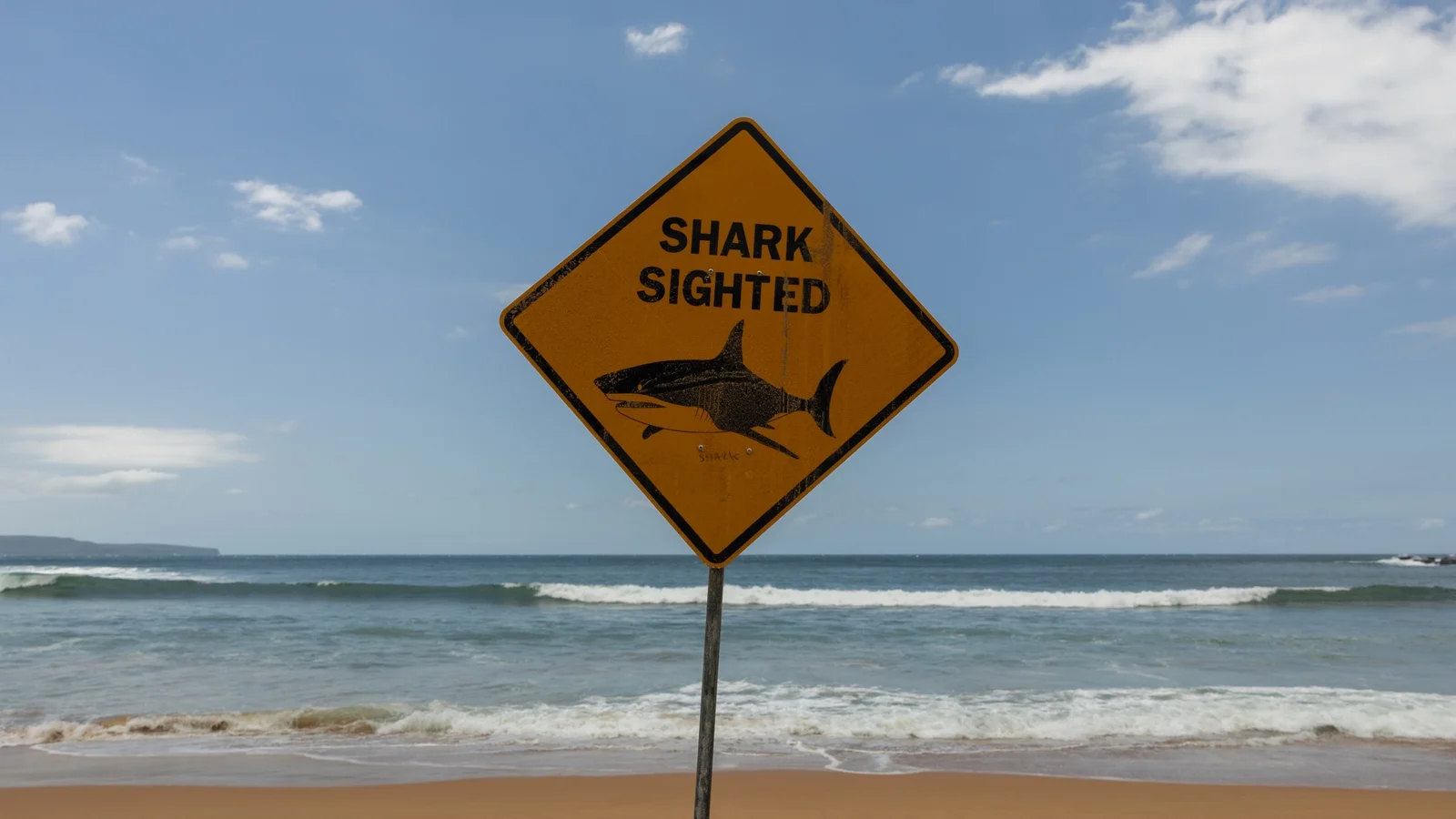 Shark kills swimmer off Western Australia beach