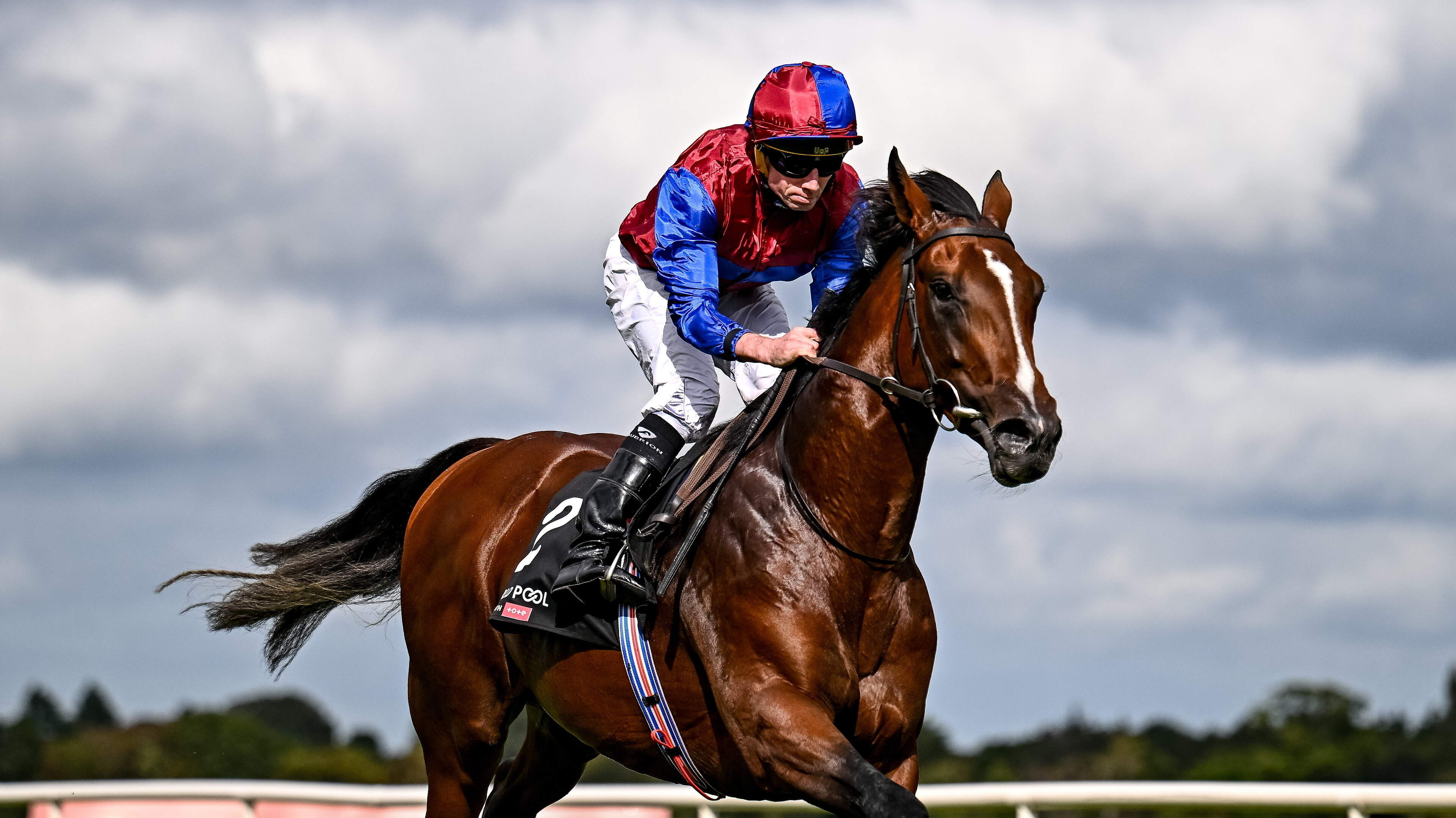 O’Brien Eyes Triple Crown with Darkness Falls