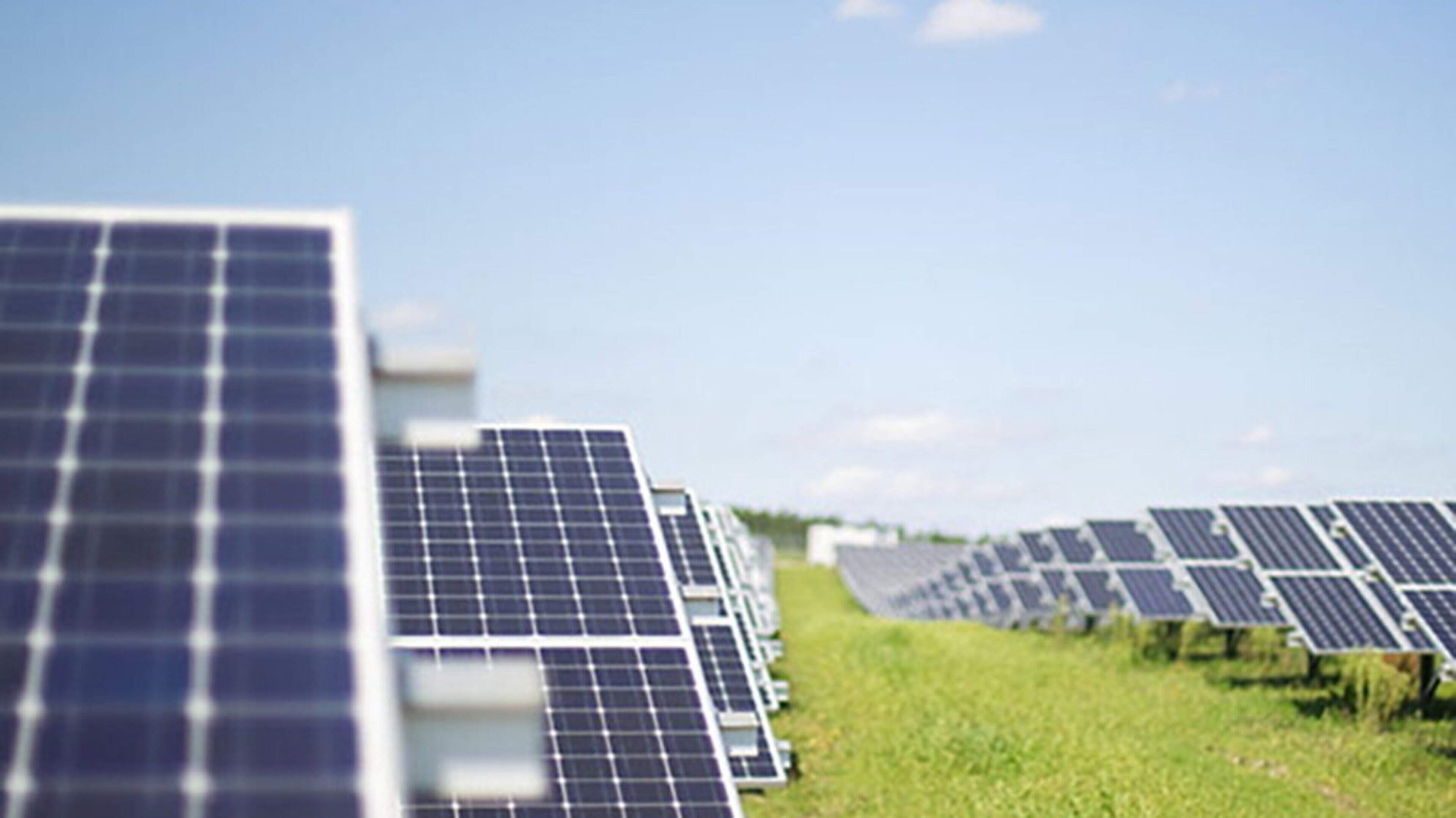 Kerry Senator Calls for Fast-Track Solar Farm Policy